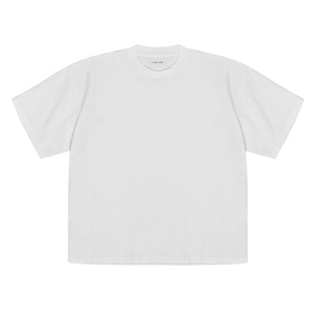18-1 STANDARD T